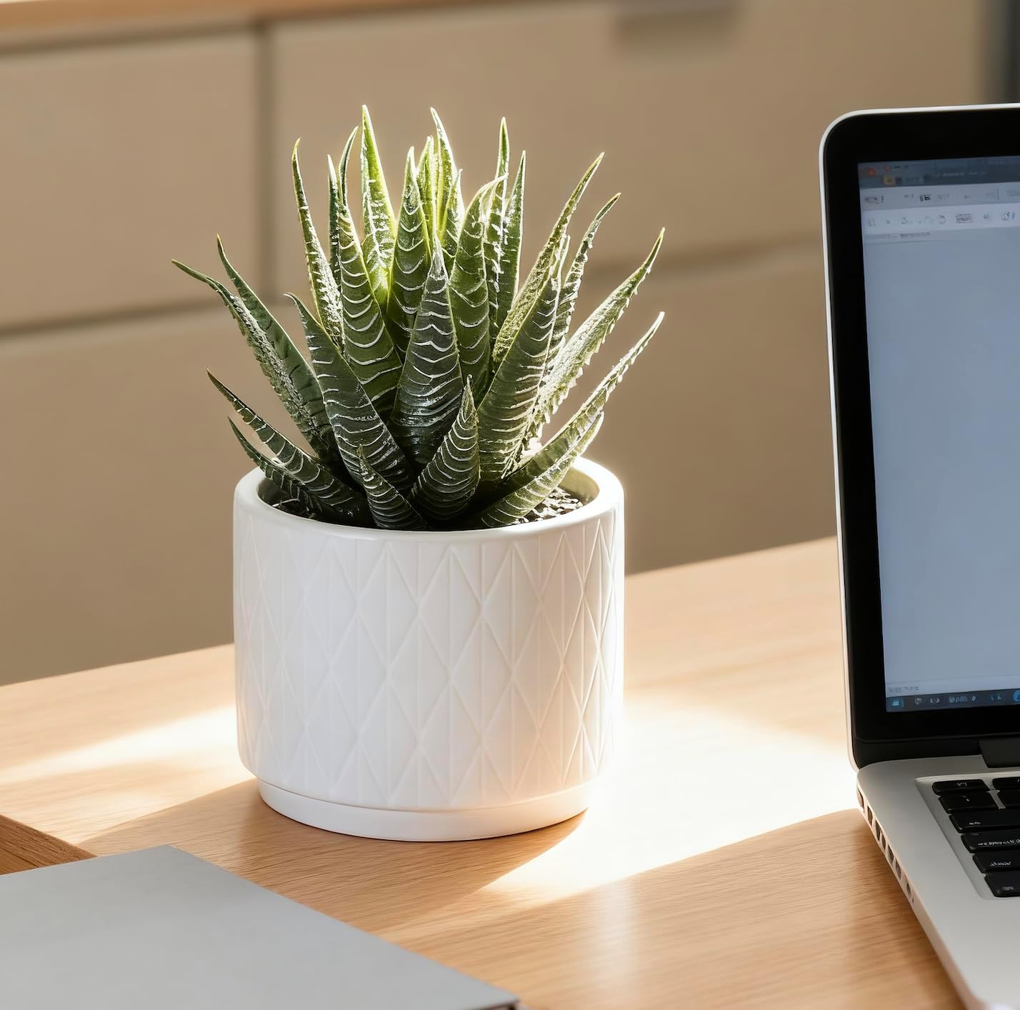 Artificial Succulent Plant in Matte White Ceramic Pot | 6.5" high Dark Green Aloe Plant | Great as desk decor or bathroom decor | beautiful realistic faux succulent with no maintenance