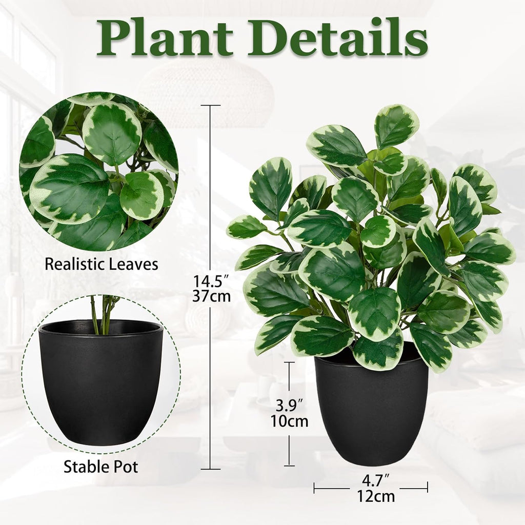 14.5" Artificial Plants Indoor Home Decor, Fake Potted Silk Plants for Shelves Living Room Decorative, Small Artificial Office Desk Plant in Pots, Faux Peperomia Hope Tropical House Plant