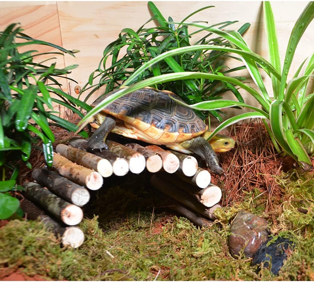 Flushbay Reptile Habitat Décor Hideouts Basking Platform for Aquatic Turtles Critter Cavern Log Hideaway for Tortoise Frog Lizard Bearded Dragon Hides and Caves (Turtle Climbing Platform)