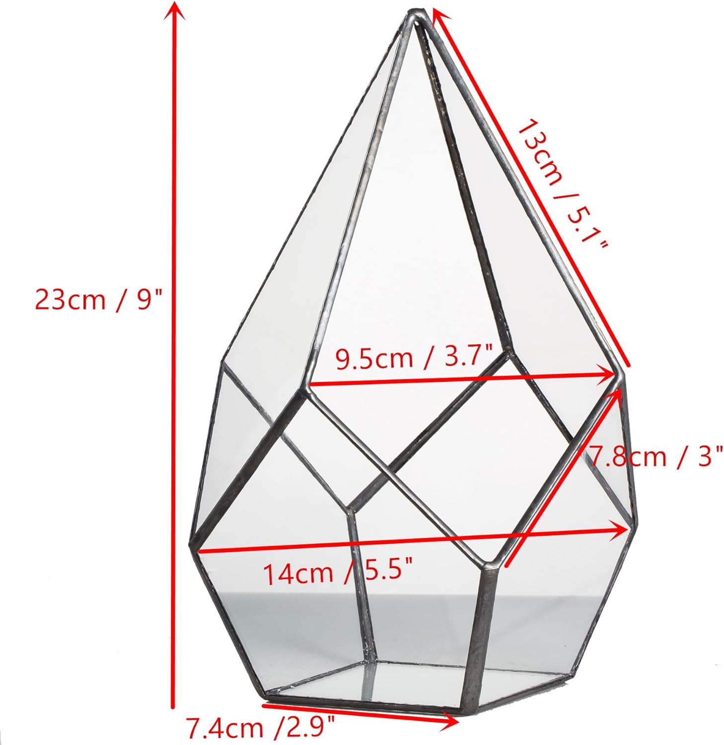 NCYP Geometric Glass Terrarium Planter - 5.5 x 5.5 x 9 Inches - Diamond Shape Flower Pot for Succulent Air Plant - Home, Office Desktop Decoration Terrarium, Black (No Plants Included)