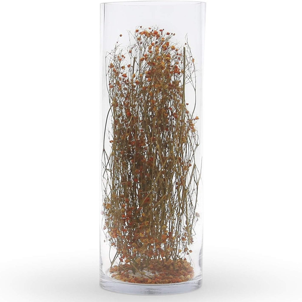 WGV Cylinder Vase, Width 6", Height 14", Clear Glass Container Terrarium Candle Holder for Wedding Centerpiece, Party Event, Home Office Decor, 1 Piece