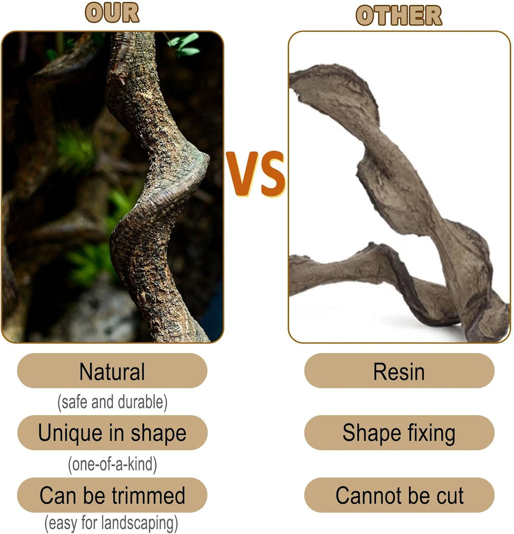 Reptile Decor 4PCS Natural Forest Branch Terrarium Habitat Driftwood Decoration Lizard Climbing Tree Branch for Bearded Dragon Gecko Snake Frog Chameleon Spider