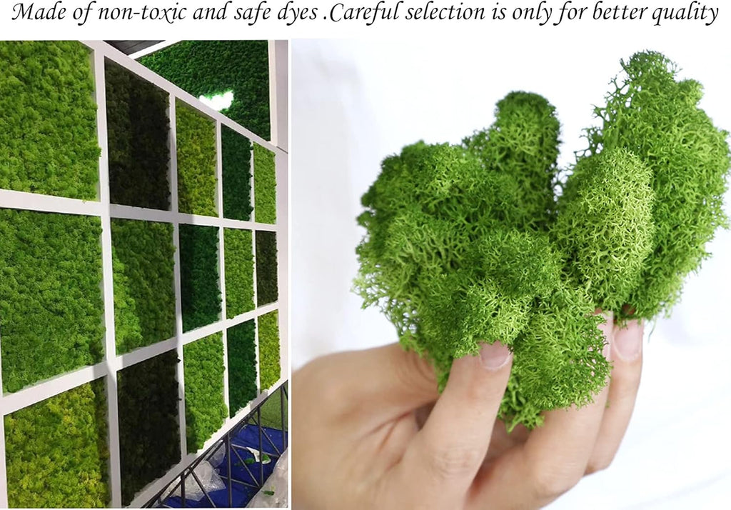Moss Preserved Moss for Potted Plants Natural Fresh Green Reindeer Moss for Craft Arts Floral Wall Decor Decor Wedding Centerpieces Garden Artificial Terrariums Decoration for Christmas(Yellow) 3.52OZ