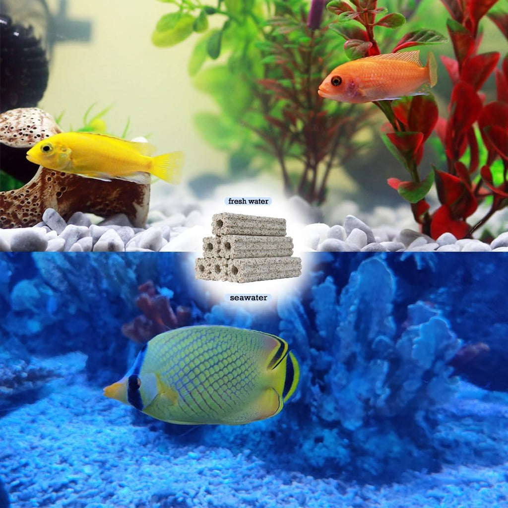 PINVNBY 6.2 Inch Large Filter Media for Aquarium,10 Pcs Fish Tank Ceramic Bio Blocks for Freshwater and Saltwater Sump Tank,Aquaculture and Koi Ponds