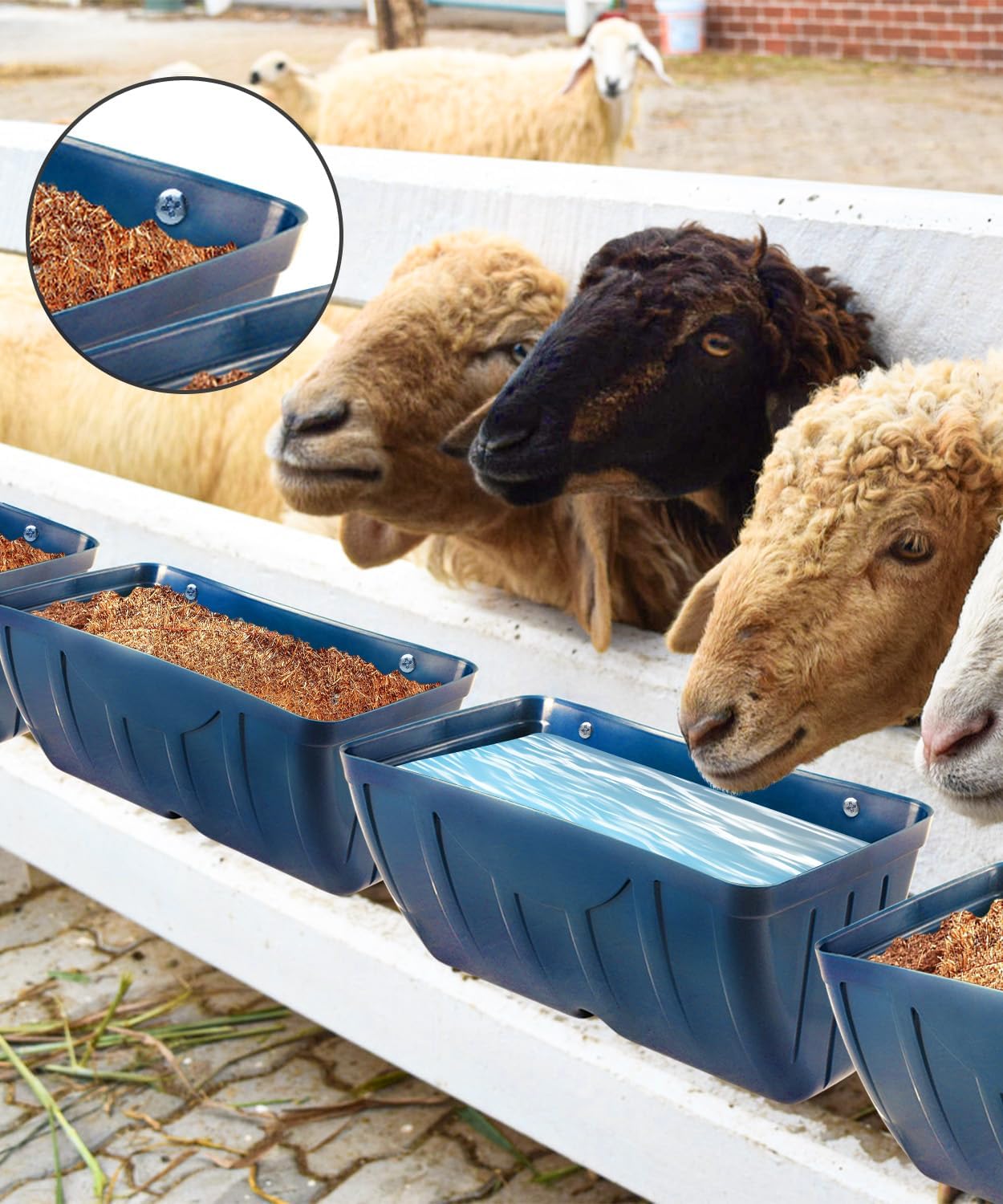 Chicken Feeders, 3 Pack, Duck Feeders and Waterers, Hanging Poultry Water Feeder, Livestock Fence Feeder, Feed Trough and Waterer Bucket with Clips, Blue