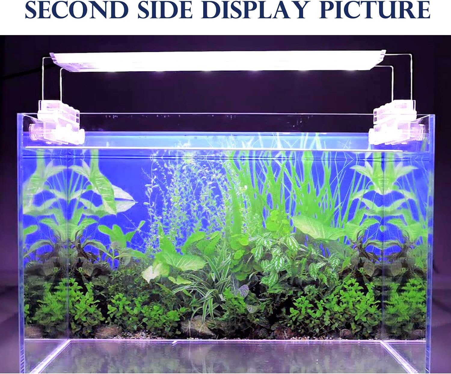 ELEBOX New 23" x 71" Fish Tank Background Paper Wallpaper 2 Sided Colorful Seaweed Water Plants Aquarium Background Picture