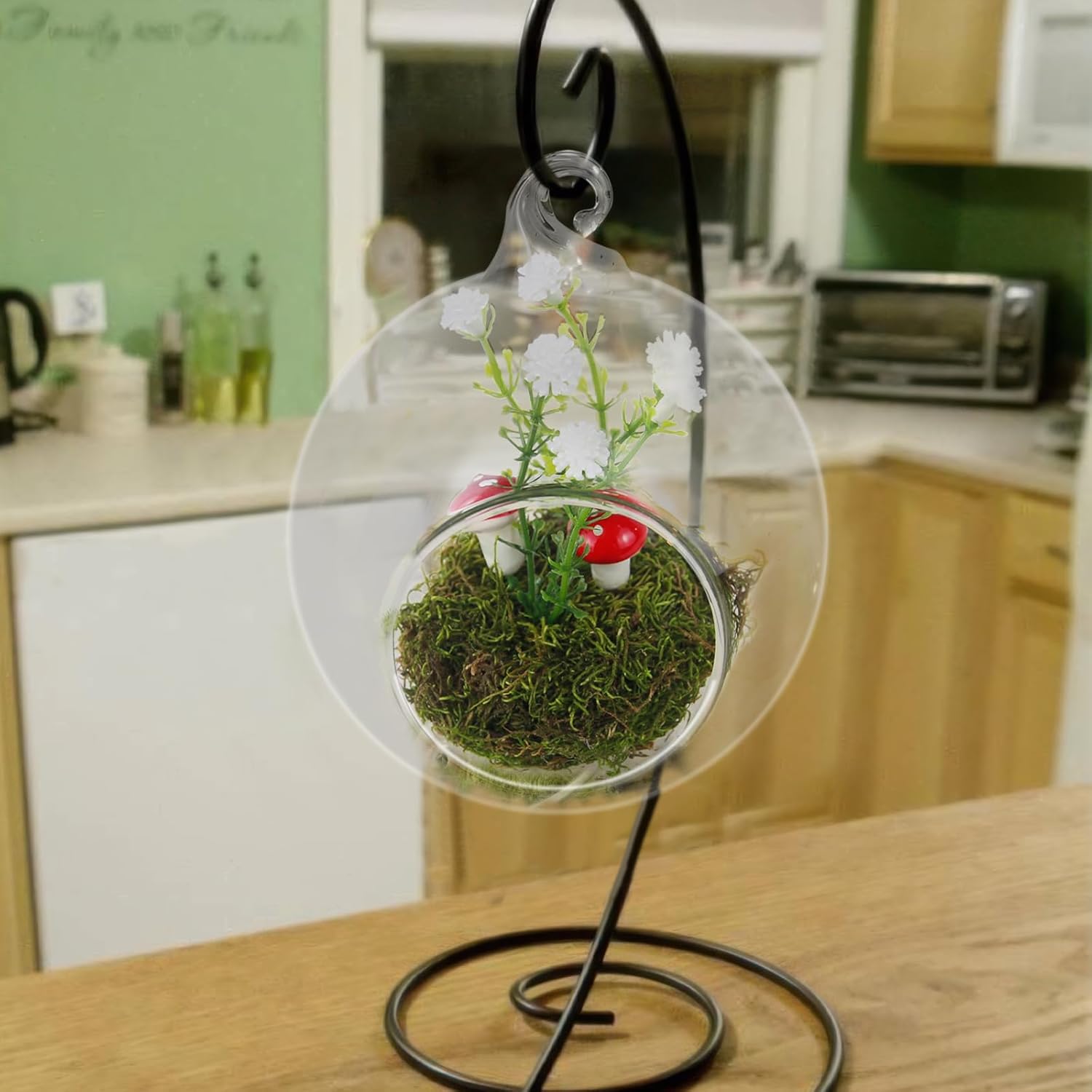 Glass Hanging Planter Terrarium for Indoor Plants Hanging Glass Globes with Artificial Moss Flowers Air Fern Holder Terrarium Plants Hanger Vase Gifts for Plant Lovers Home Decoration