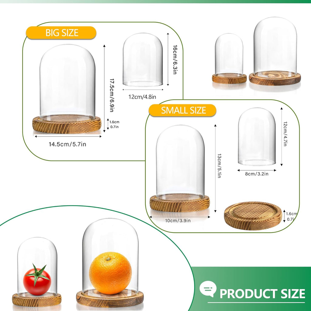 ZEERSHEE 2pcs Glass Display Dome Cloche with Wooden Base for Home Wedding Party Decor (3.9 x 5.1in/5.7 x 6.9in)