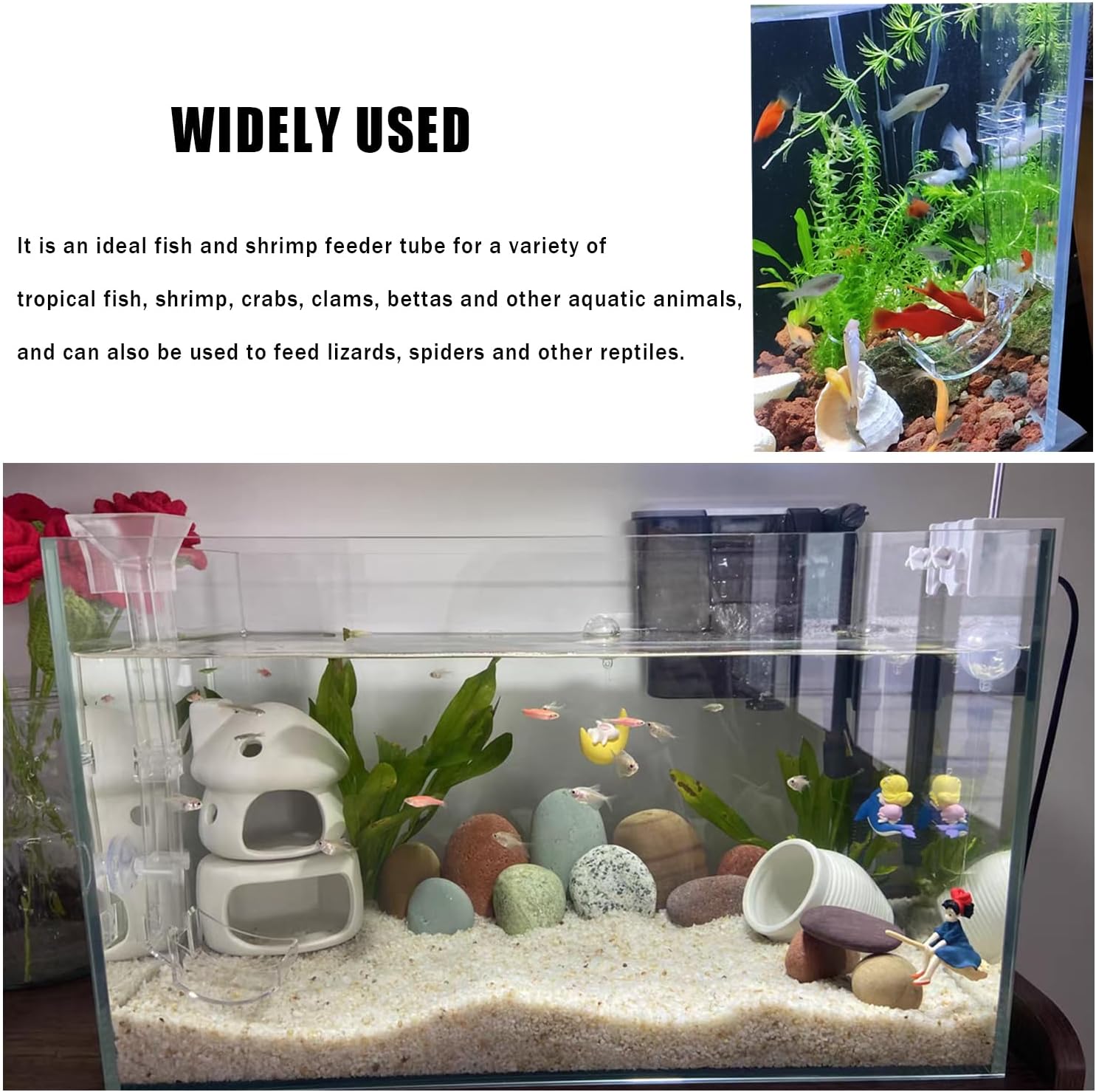 Aquarium Fish Shrimp Feeding Dish Set, Transparent Shrimp Feeding Tube, Fish Tank Feeding Supplies with Feeding Ring Cleaning Brush