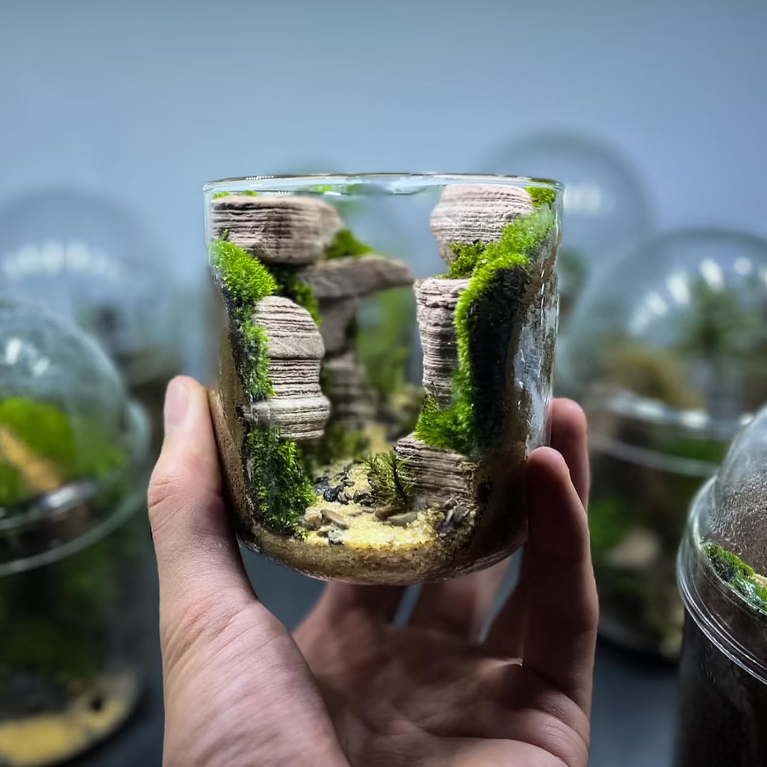 Natural Rocks Pagoda Stones 1-2 Inches Decorative Stones for Fairy Gardens,Miniature Landscaping,Bonsai,DIY Crafts,Aquariums & Reptile Terrariums-1lb