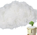 FAICOIA Fake Moss for Crafts 5.5OZ Faux Moss for Plants Indoor Artificial Moss for Decorating White Faux Grass for Planters Crafts DIY Table Centerpieces Fairy Garden Floral Wedding Decor 153g