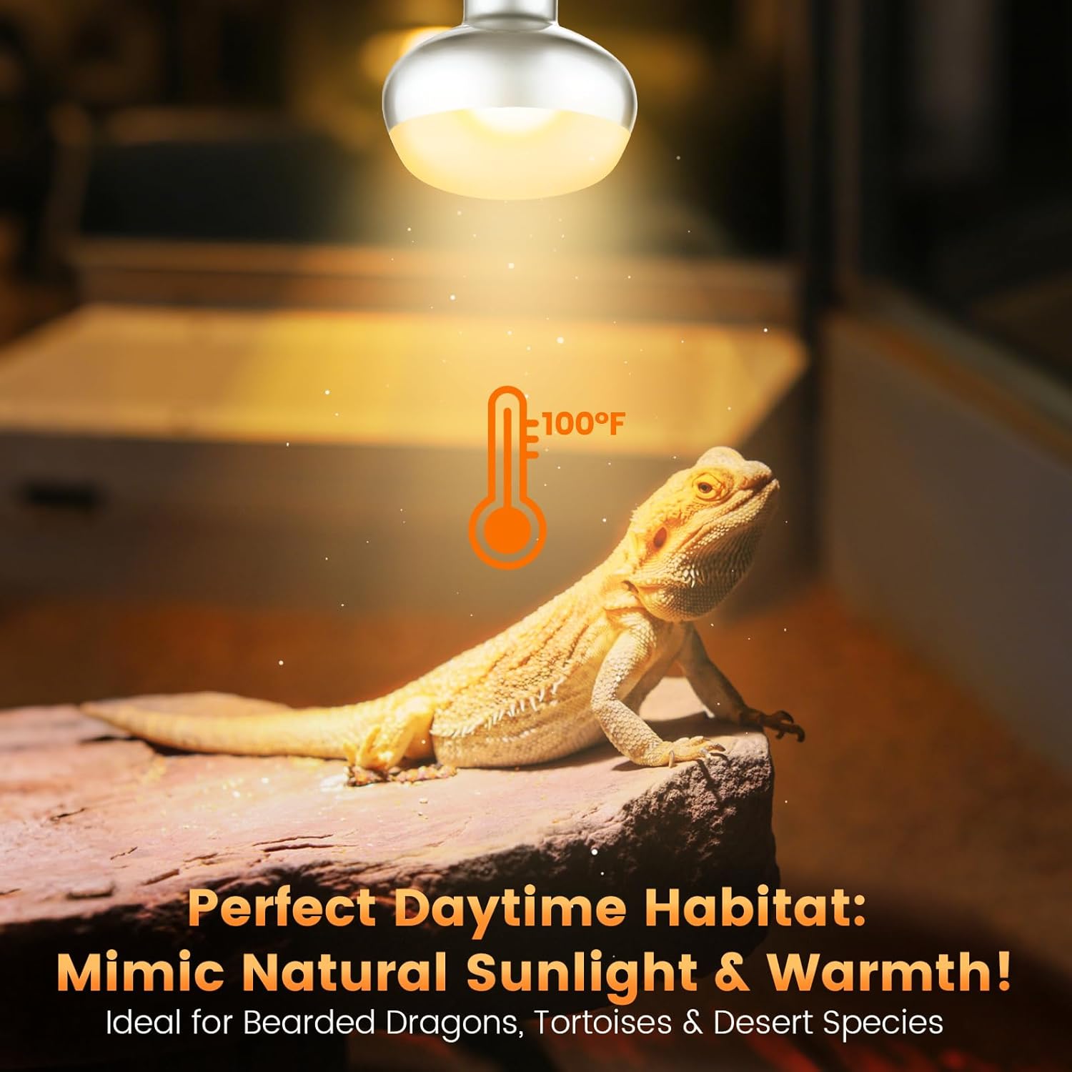 2-Pack 100W Reptile Heat Lamp Bulbs – UVA Daylight Basking Light for Bearded Dragons, Lizards, Turtles, E26 Base