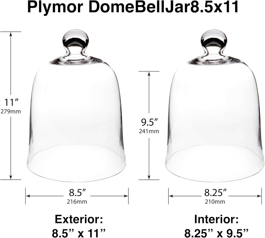 Plymor 8.5" x 11" Bell Jar Glass Display Dome Cloche (Interior Size 8.25" x 9.5")