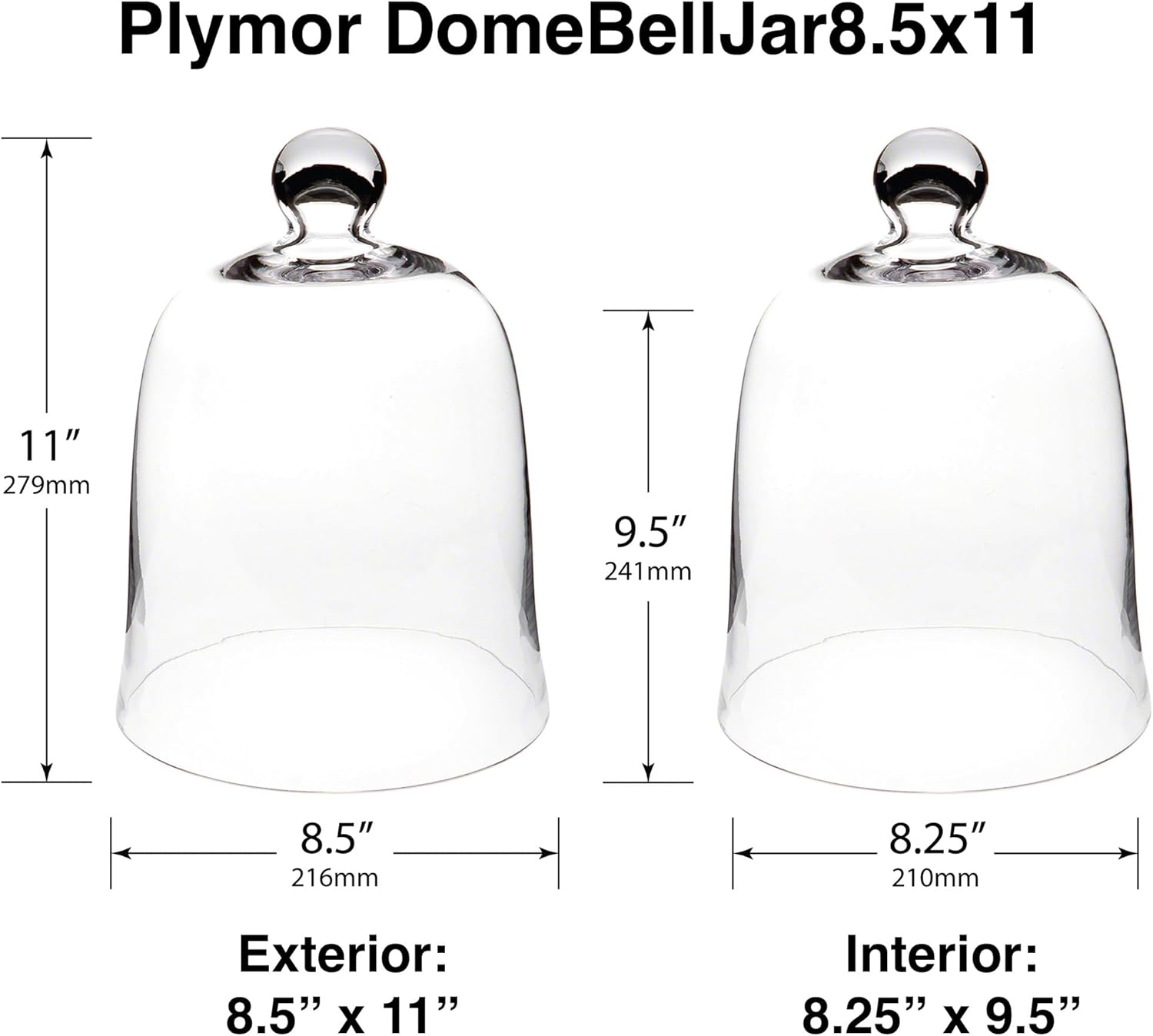 Plymor 8.5" x 11" Bell Jar Glass Display Dome Cloche (Interior Size 8.25" x 9.5")