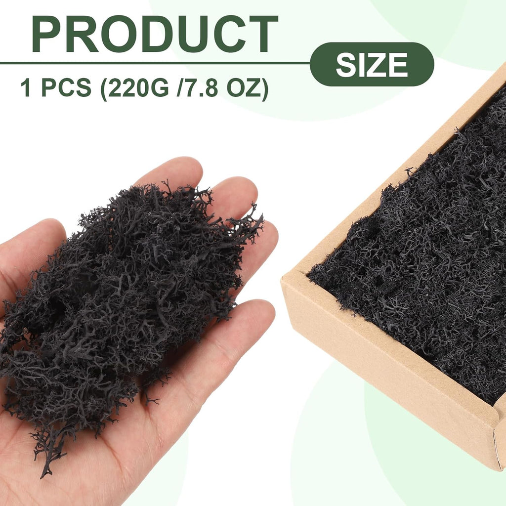 MECCANIXITY 7.8oz Preserved Reindeer Moss, Black Decorative Artificial Fake Moss for Potted Plants Indoor Crafts Lichen Centerpieces Decor