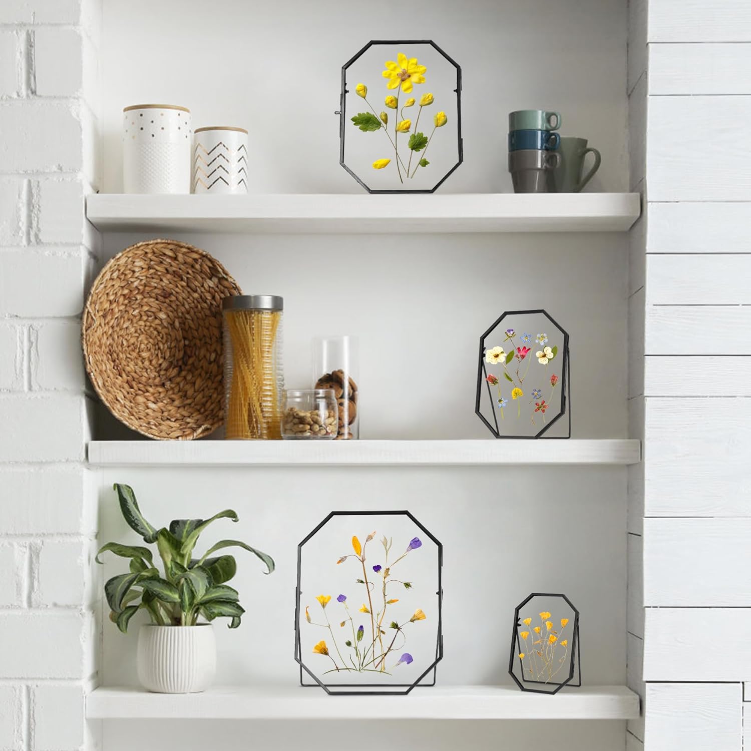 Glass Pressed Flower Frame Handmade, Metal Floating Picture Frame, Double Glass for Tabletop Display, Unique Brass Octagon, Black, 8x10 Inches (FRAME ONLY)
