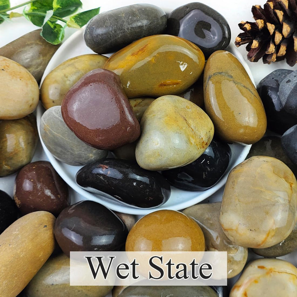 Natural River Rocks, Small Rocks for Plants Decorative Polished Pebbles for Fish Tank, Gardening, Flower Pots, Vase Fillers, Indoor Water Fountains, Landscaping, 40lbs, 2-3 Inch