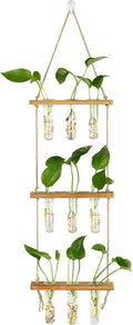 Wall Hanging Propagation Stations 3 Tired Wall Planter Terrarium with Wooden Stand and Glass Test Tubes Plant Hanger Flower Vase for Home Office Wall Decor Hydroponic Cuttings