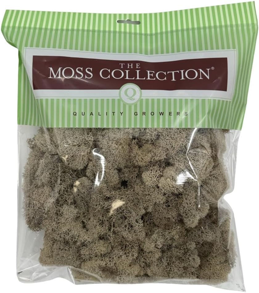 Preserved Reindeer Moss - Premium Decorative Moss for Crafts, Home Décor, Art, Design & DIY Projects - Real Moss - Non-Toxic, USA-Made (Natural, Medium Size)