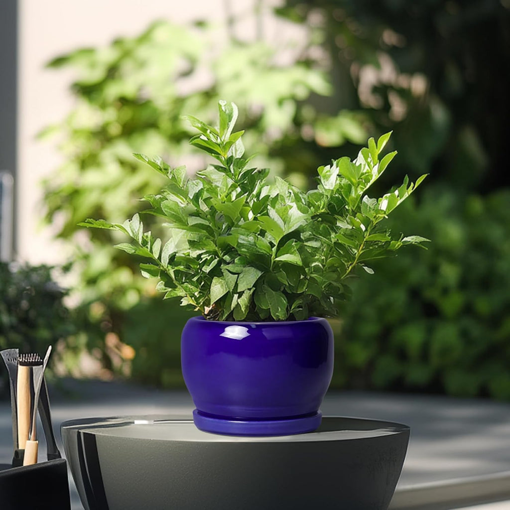 SQOWL Ceramic Planters for Indoor Plants - 6 Inch Plant Pot with Drainage Hole and Saucer, Round Small Planter, Modern Decorative Flower Pot Outdoor, Living Room Decor, Garden Gifts for Women, Blue