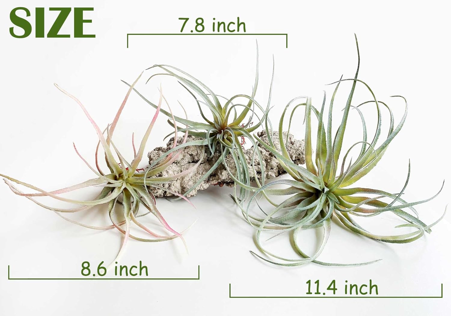 Casktcom® Artificial Air Plants – Set of 3 Large Faux Tillandsia Bromeliads – Realistic Fake Succulent Plants for Home, Office, or Wall Decor – No Maintenance Needed