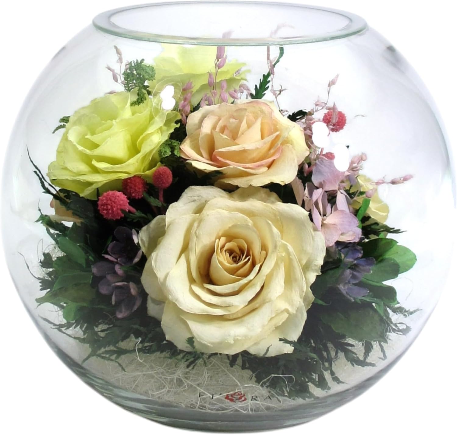 Fiora Flower | Preserved Roses & Floral Arrangement in Sealed Glass Vase | Lasts up to 5 Years | Elegant Gift for Weddings, Birthdays, and Anniversaries (Pastel)