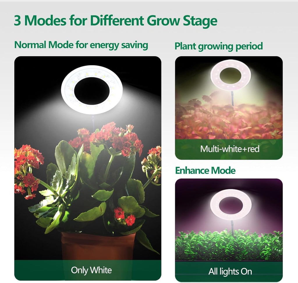 WaterRebirth 3.5 inch Grow Lights for Indoor Plants,Large Plant Light with 3 Timers, 10 Level Dimmable Brightness, Full Spectrum Plant Lamp, Height Adjustable for Tall Plants