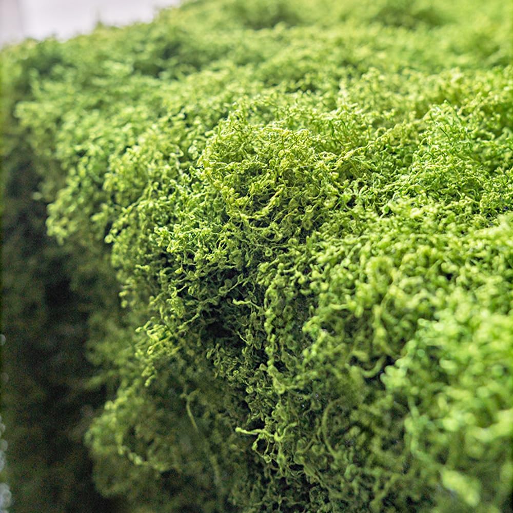 Fake Green Moss for Crafts 7.05 oz Decorative Artificial Moss for Crafts Decorative Faux Moss Table Centerpieces Wedding Party Decor Fairy Garden Floral DIY