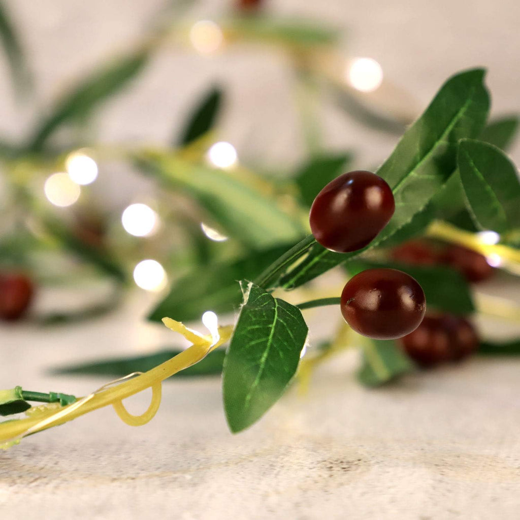 Impress Life Olive Branch Garland String Lights 10FT 40 White LED Battery USB Operated Lighted Twig Vine with Timer for Christmas Thanksgiving Party Spring Decoration