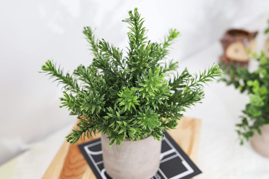 Der Rose 3 Pack Mini Potted Fake Plants Artificial Plastic Eucalyptus Plants Centerpieces for Table Home Office Desk Accessories Farmhouse Room Classroom Decor