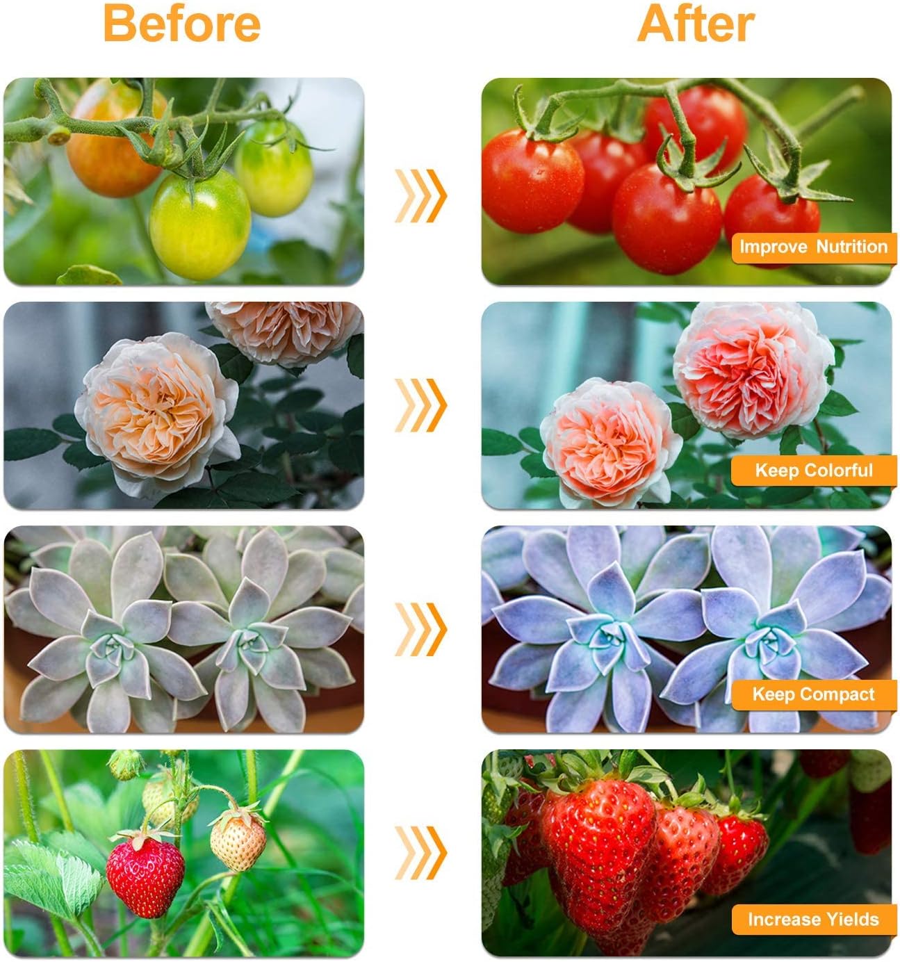 bseah Grow Light Plant Lights for Indoor Plants, Full Spectrum Plant Grow Lamp, 10 Dimmable Levels, ON & Off with 3/9/12H Timer Manually Set Daily