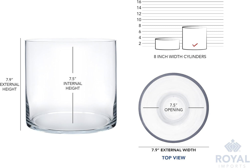 Royal Imports Flower Glass Vase Decorative Centerpiece for Home or Wedding - Cylinder Shape (8" Wide x 8" Tall, Clear)