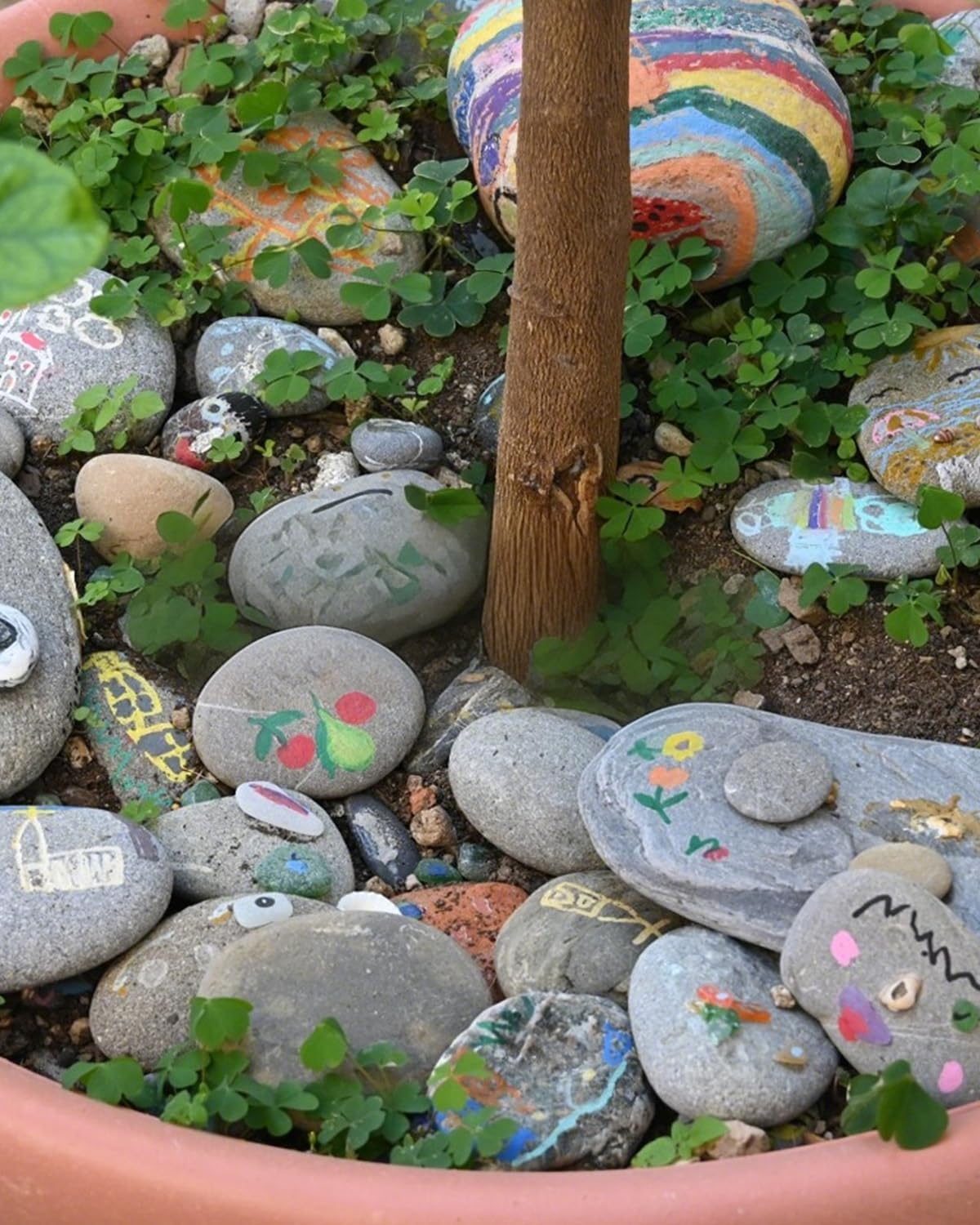 Natural River Rocks-10 lbs of Pebbles and River Stones,2-3 Inch Plant Rocks for Landscaping,Garden Paving,Crafting,Walkways,and Outdoor Decorative Stone,Mexican Beach River Rocks