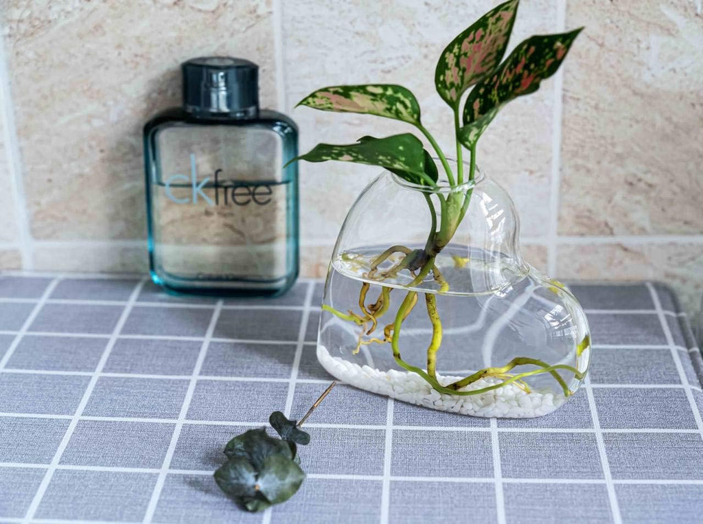 Kingbuy Wall Hanging Glass Planter Terrarium Plant Propagation Station Heart Shape Vase for Planting Hydroponic Water Plants Home Office Garden Decor Gift, 2 Pack
