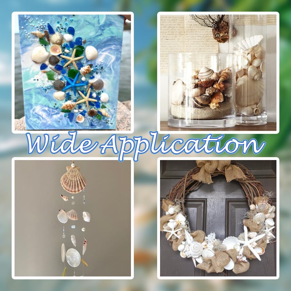 Natural Sea Shells Mixed -15 Kinds of Natural Seashells,Each 2 Kinds Starfish & Urchins for Aquarium Fish Tank,DIY Arts Crafts Project,Beach Theme Home Wedding Party Decor,Vase Fillers,1~3.5"
