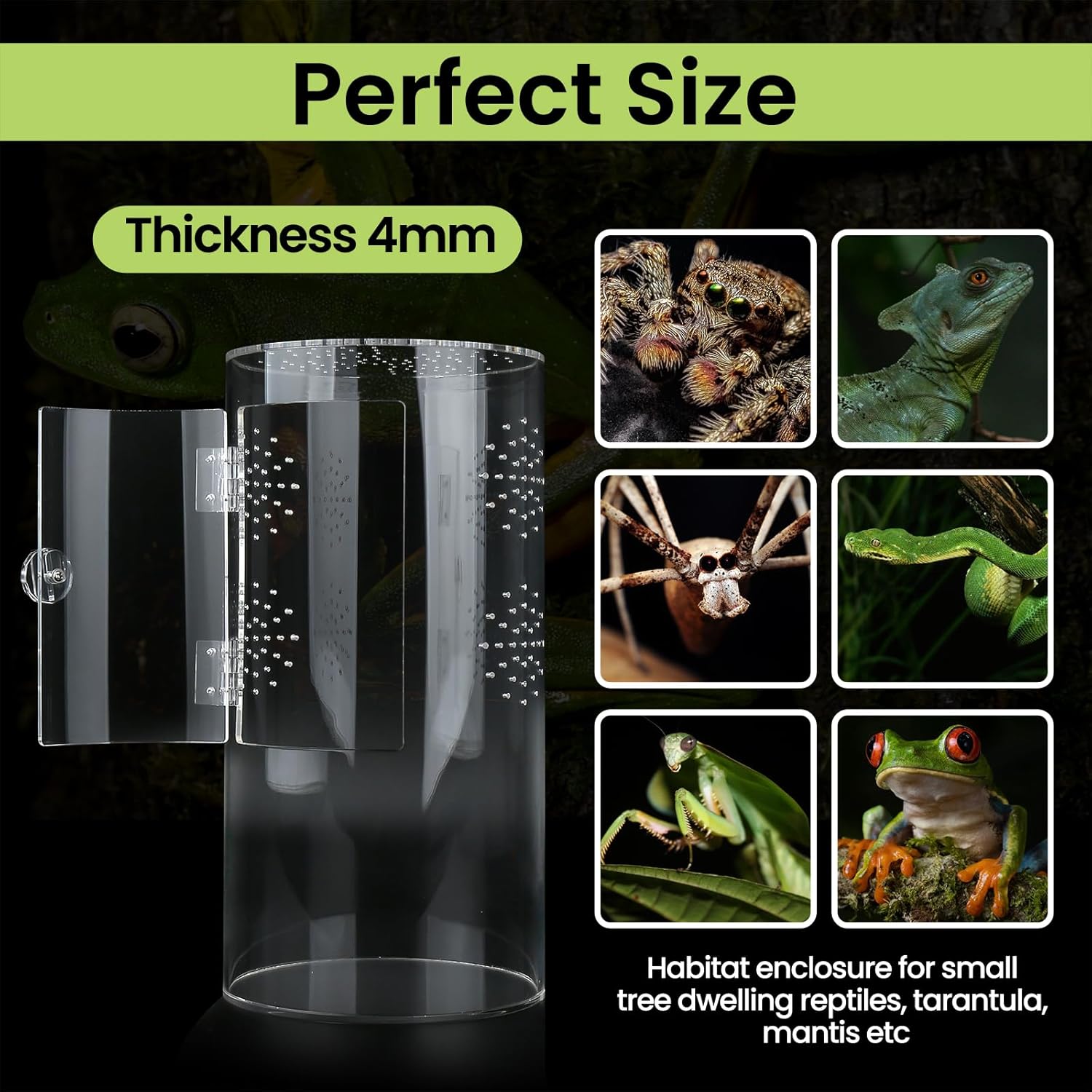 Front Opening Terrarium Jumping Spider Enclosure,Tall Arboreal Tarantula Enclosure Terrarium with Cross Ventilation,Waterproof Acrylic Reptile Enclosure