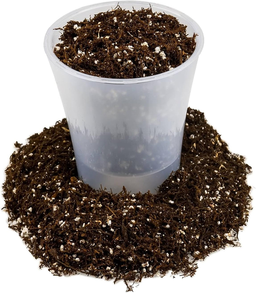 Gardenera Fern + Perlite Soil Mix for Repotting and Planting Succulents and Cactuses - 4 Quart Bag