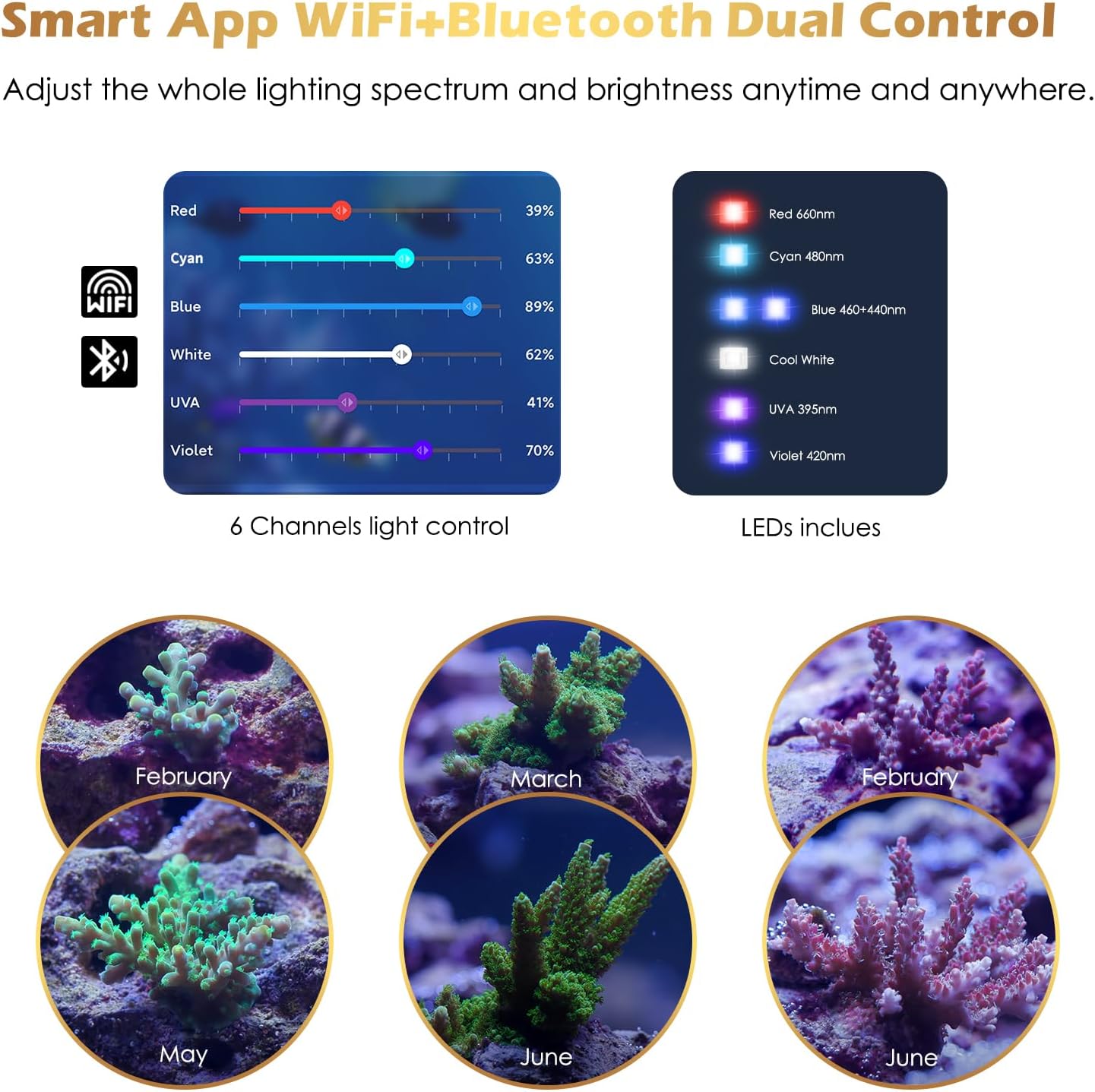 GLOWRIUM Saltwater Aquarium Light, Smart Reef Coral Fish Tank Light with Bluetooth + WiFi Dual Control App, DIY Spectrum, Brightness Adjustable, Anti-Drop, Real Time Water Temperature Sensor(30-36 in)