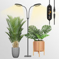 GLOWRIUM Grow Lights for Indoor Plants, Full Spectrum LED Grow Light Floor Lamp with Stand Adjustable Height and Angle, Black Plant Light with 3/9/12H Grow Light Timer (Black, 36W)
