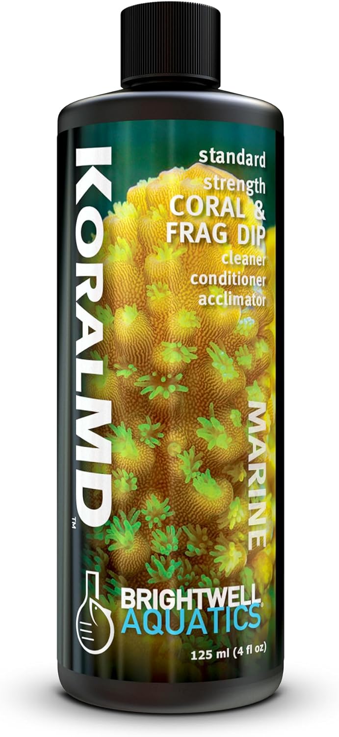 Brightwell Aquatics Koral MD Coral Dip – Plant-Based Cleaner and Conditioner for SPS LPS Soft Corals Zoanthids Anemones – Prevents Unwanted Substance Transfer, 125 ml