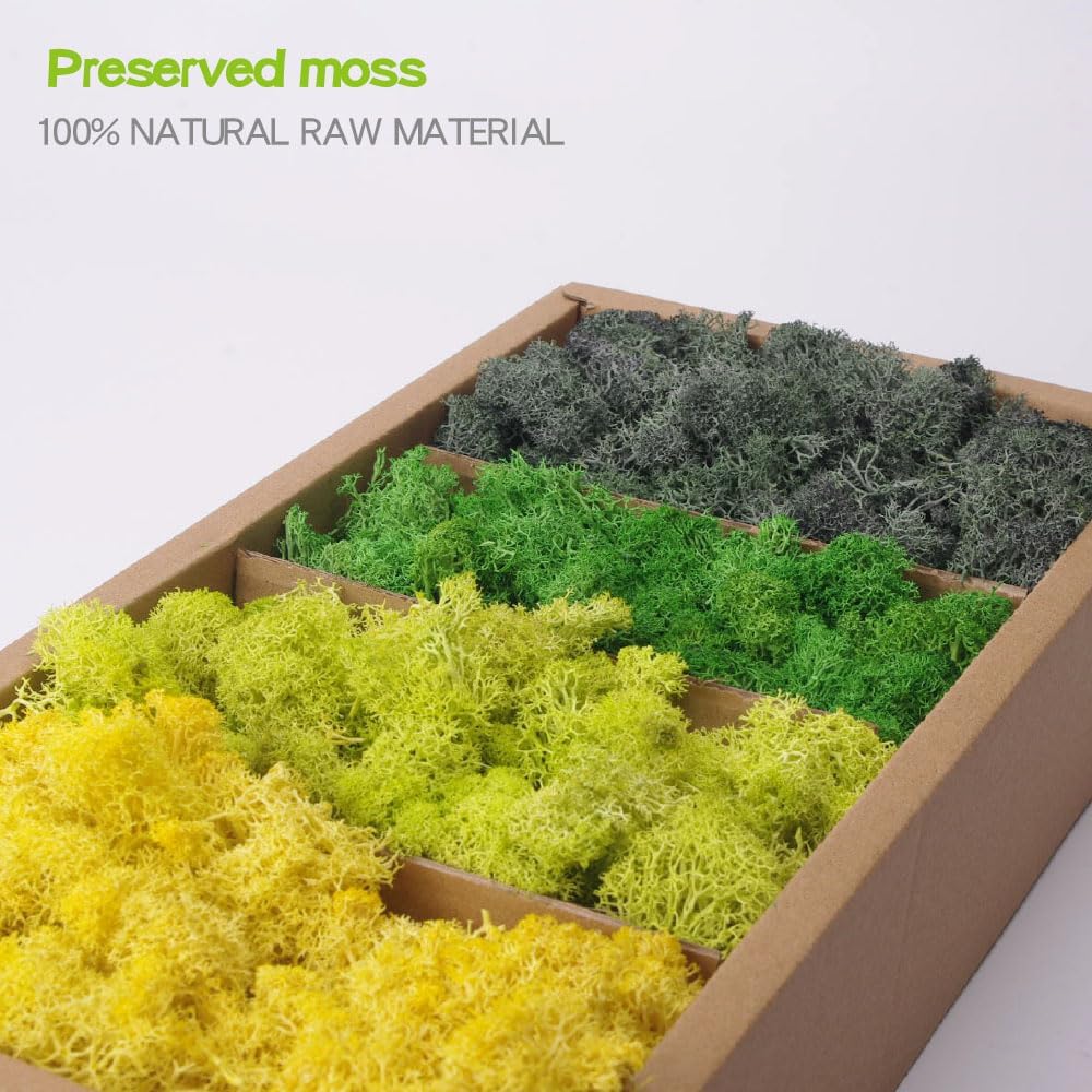 Preserved Moss-1.1lb 4 Color Mix Pack Reindeer Craft Moss, Green Moss Artificial Moss Suitable for Flowerbeds, Crafts, Home Office Artistic Decoration(Green Tones-4)