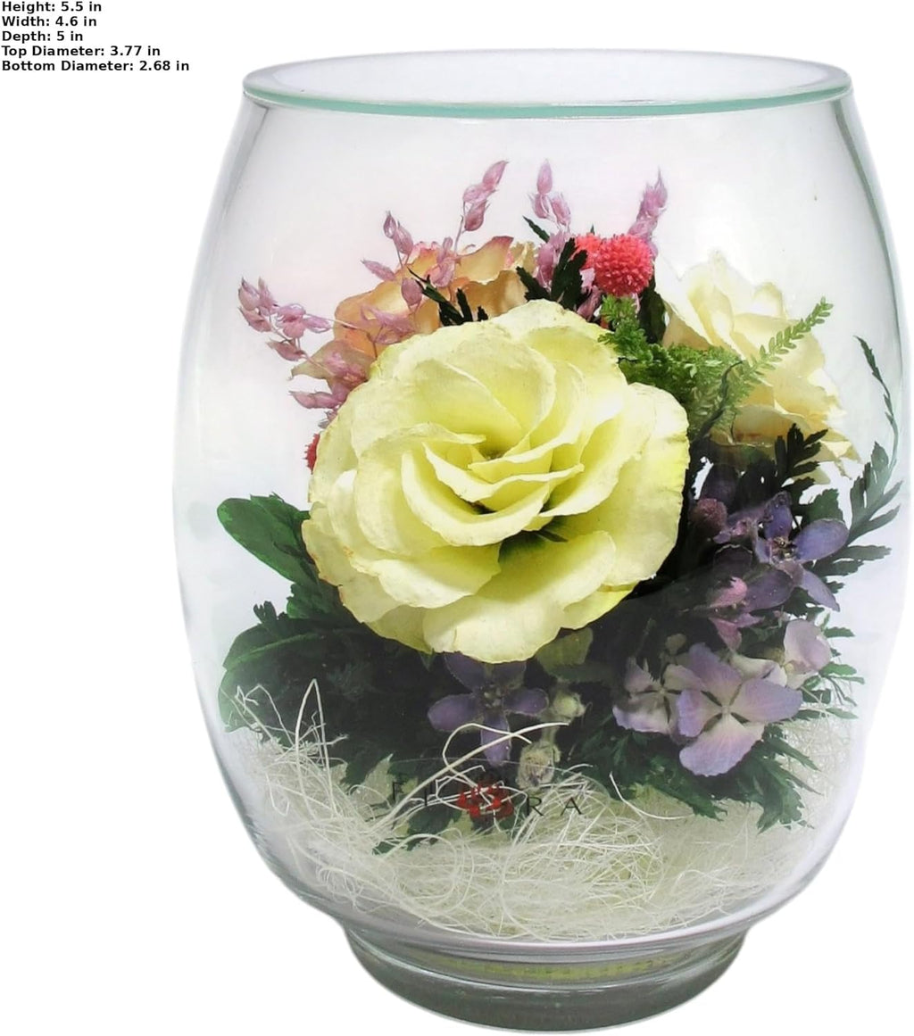 Fiora Flower | Preserved Roses & Floral Arrangement in Sealed Glass Vase | Lasts up to 5 Years | Elegant Gift for Weddings, Birthdays, and Anniversaries (Ivory)