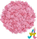 Preserved Reindeer Moss 3.5 OZ Pink Natural for Crafts, DIY Gift Christmas Decor, Wall Art, Potted Plants, Floral Fake Moss for Easter Table Decor Wedding Decorative(3.5 OZ, Pink)