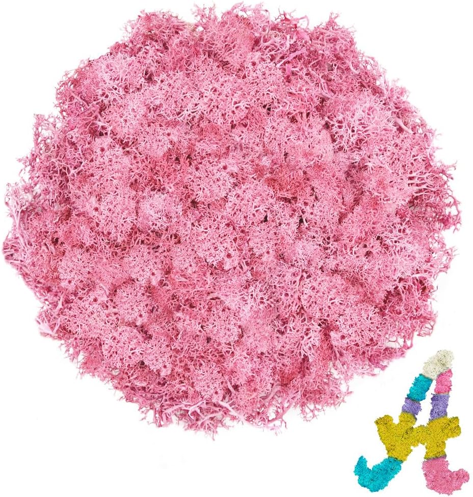 Preserved Reindeer Moss 3.5 OZ Pink Natural for Crafts, DIY Gift Christmas Decor, Wall Art, Potted Plants, Floral Fake Moss for Easter Table Decor Wedding Decorative(3.5 OZ, Pink)