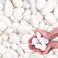 10Ib Snow White River Rock-Decorative Stones-Pebbles for Indoor Plants-Rocks for Outdoor Landscaping 1-2 inch High Polished Stones for Aquarium, Home Decor,Garden Decor