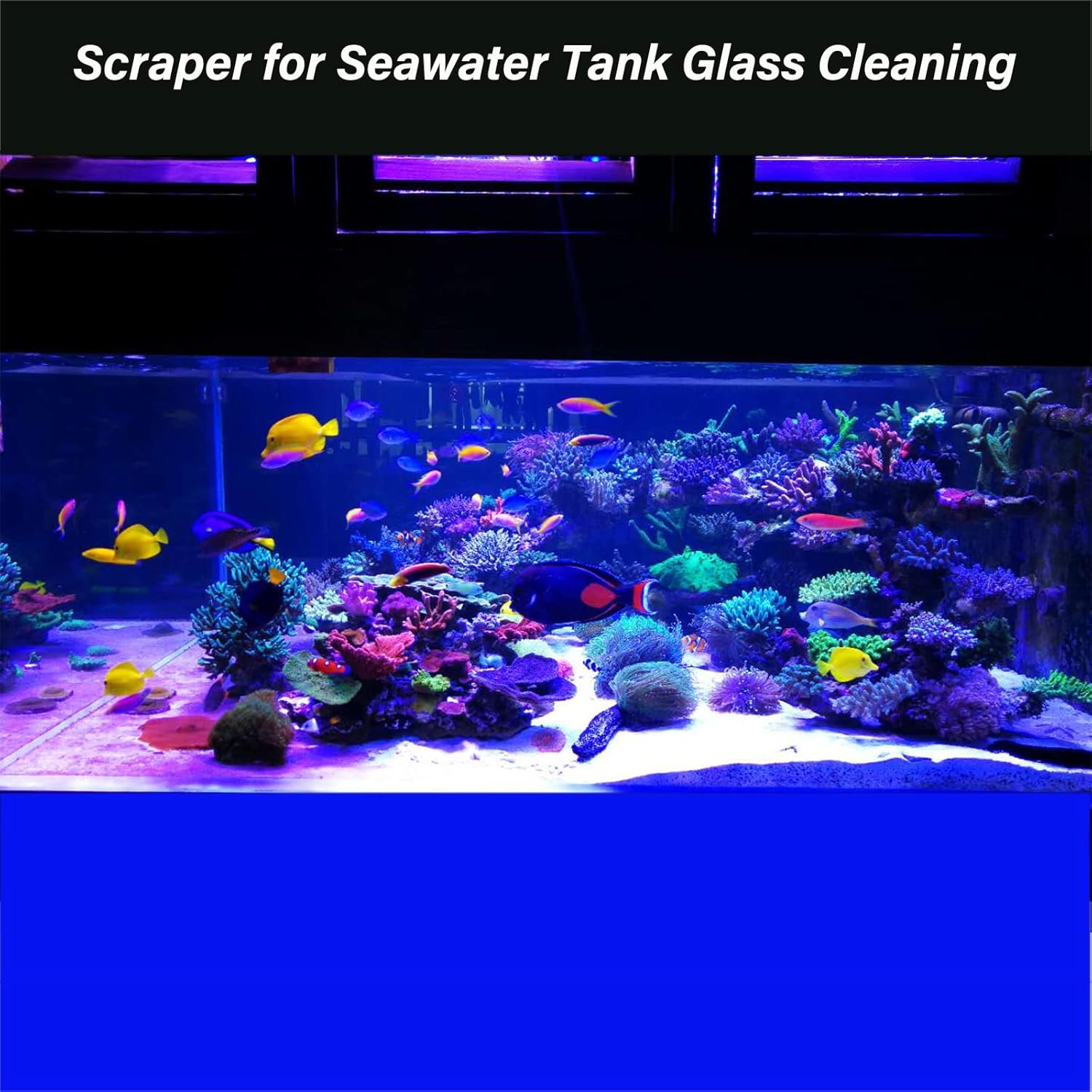 Algae Scraper for Glass Aquarium, Long Handle Fish Tank Algae Scraper with 10 Blades, Essential Aquarium Cleaning Tool.