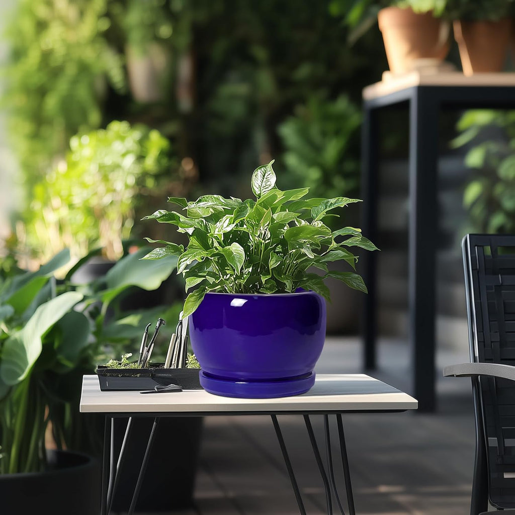 SQOWL 8 Inch Plant Pot - Ceramic Planter for Indoor Plants Outdoor, Ceramic Flower Pot with Drainage Hole and Saucer, Modern Round Planter, Bathroom Decor, Gifts for Plant Lovers, Blue