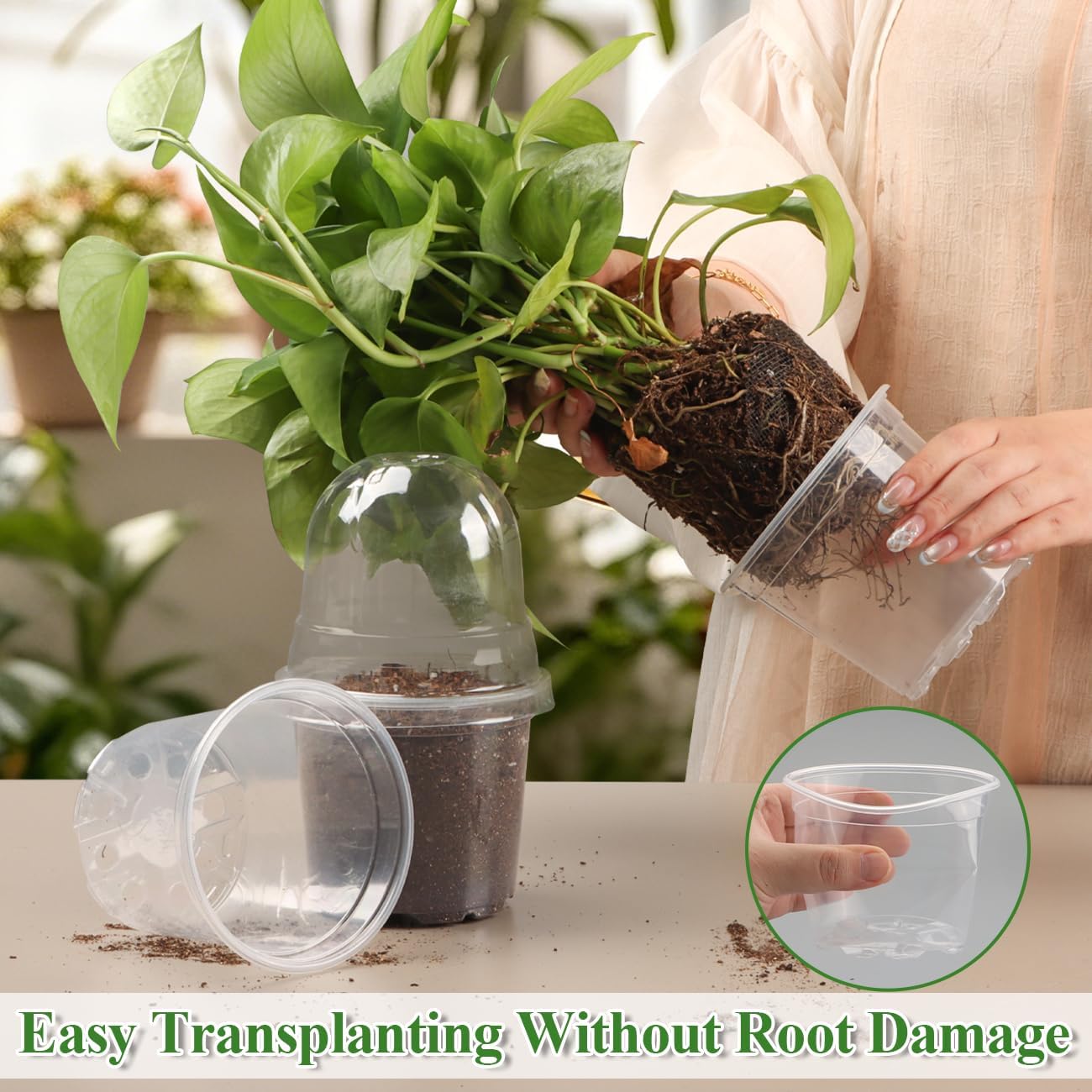 60 Pack Clear Nursery Pots with Humidity Domes, 4 Inch Plastic Plant Pots with Drainage Holes for Seedlings, Transparent Seed Starting Pot for Cuttings Propagation Indoor Gardening