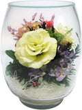 Fiora Flower | Preserved Roses & Floral Arrangement in Sealed Glass Vase | Lasts up to 5 Years | Elegant Gift for Weddings, Birthdays, and Anniversaries (Ivory)