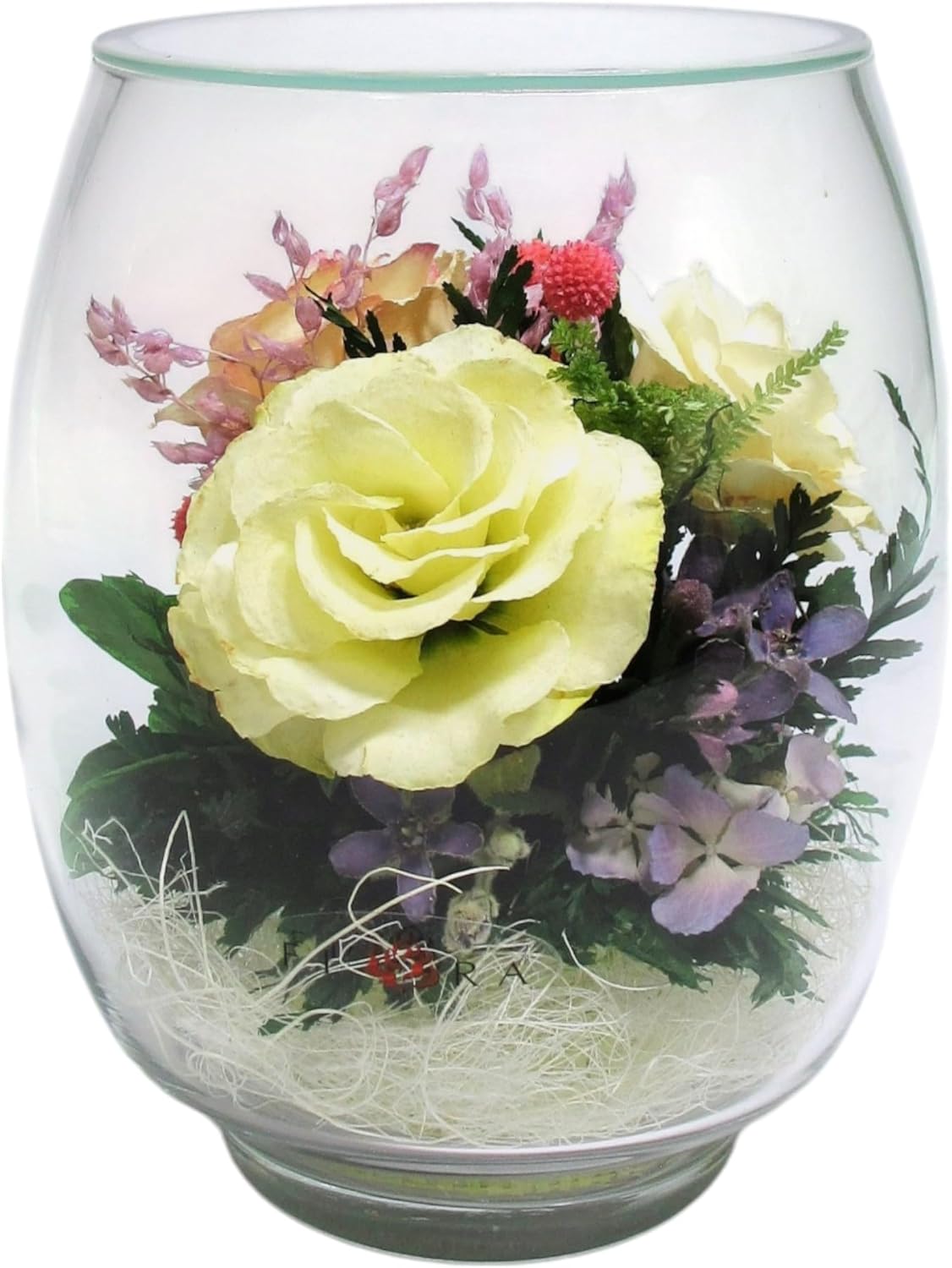 Fiora Flower | Preserved Roses & Floral Arrangement in Sealed Glass Vase | Lasts up to 5 Years | Elegant Gift for Weddings, Birthdays, and Anniversaries (Ivory)